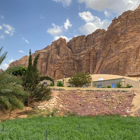 فيلا الجوهرة العلا المظهر الخارجي الصورة