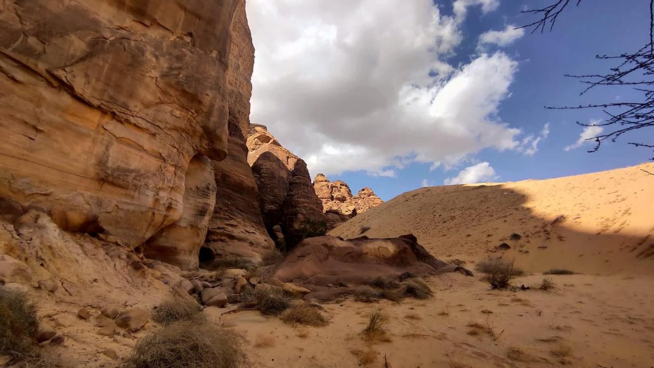 فيلا الجوهرة العلا المظهر الخارجي الصورة