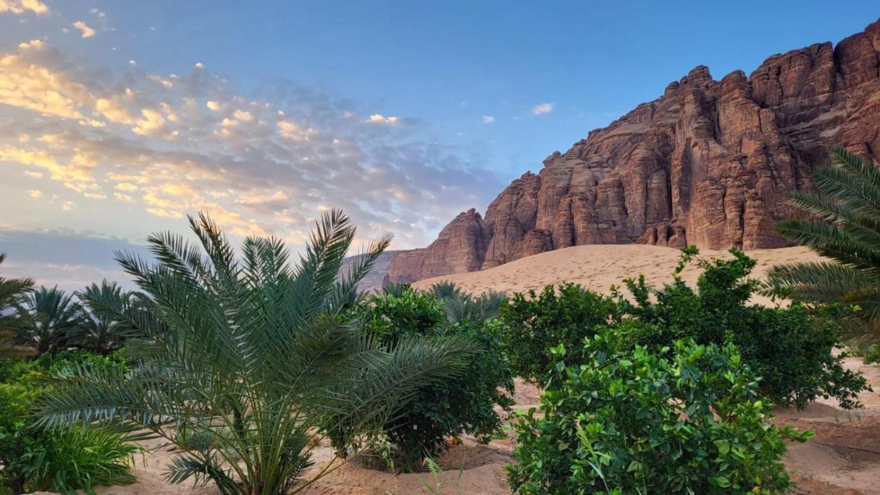 فيلا الجوهرة العلا المظهر الخارجي الصورة