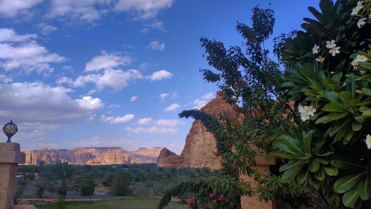 فيلا الجوهرة العلا المظهر الخارجي الصورة