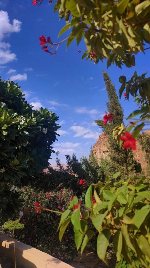 فيلا الجوهرة العلا المظهر الخارجي الصورة