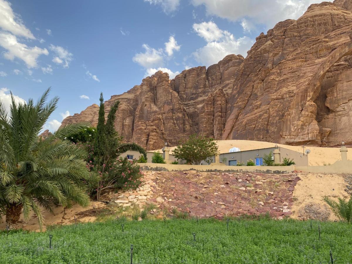فيلا الجوهرة العلا المظهر الخارجي الصورة