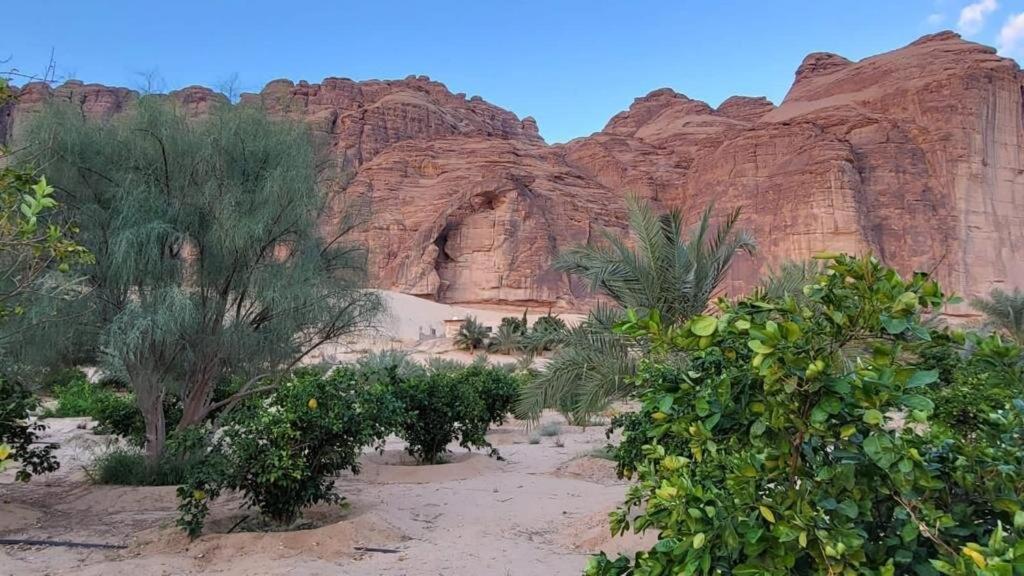 فيلا الجوهرة العلا المظهر الخارجي الصورة